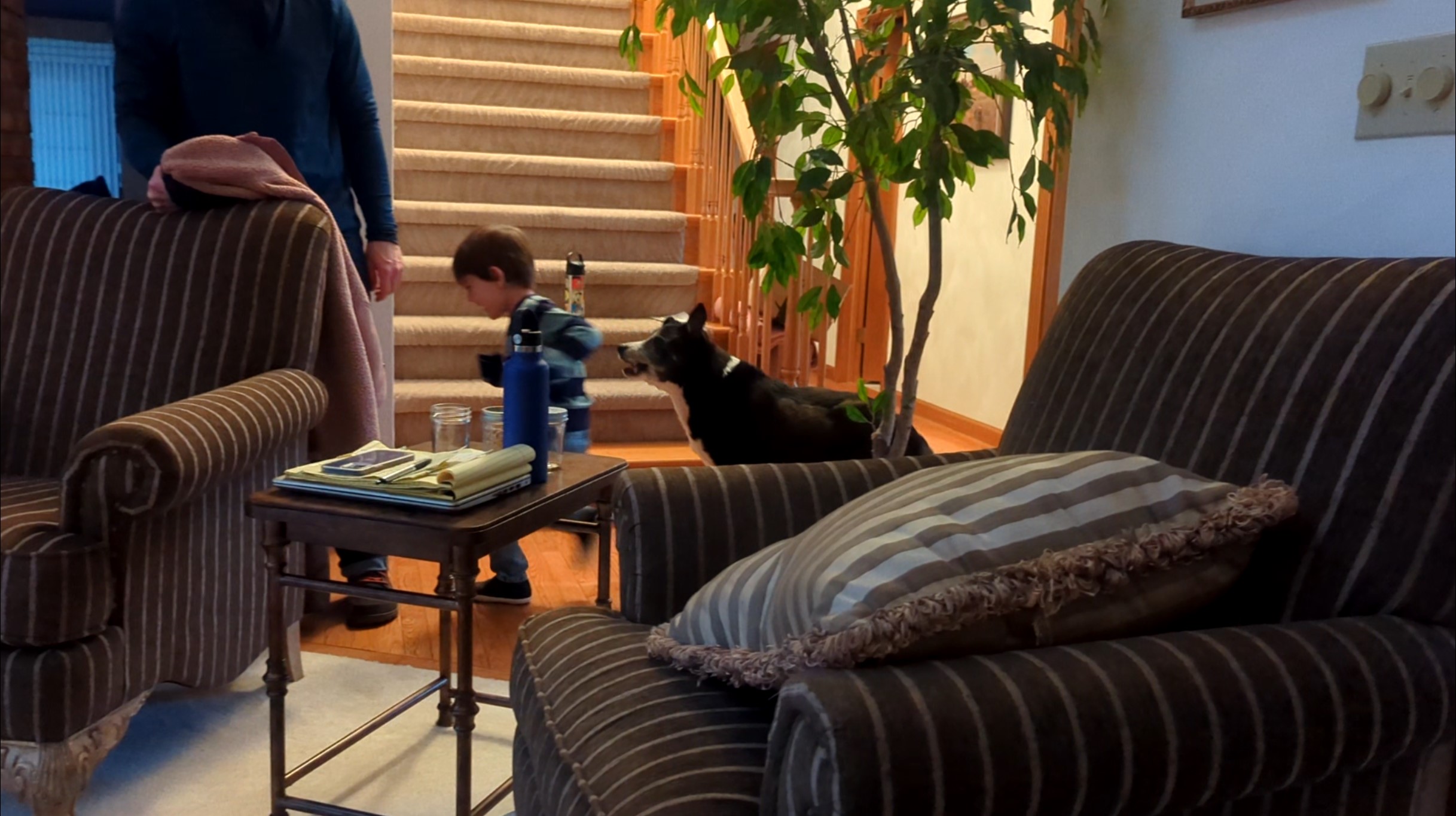 Lewis Herding Odin